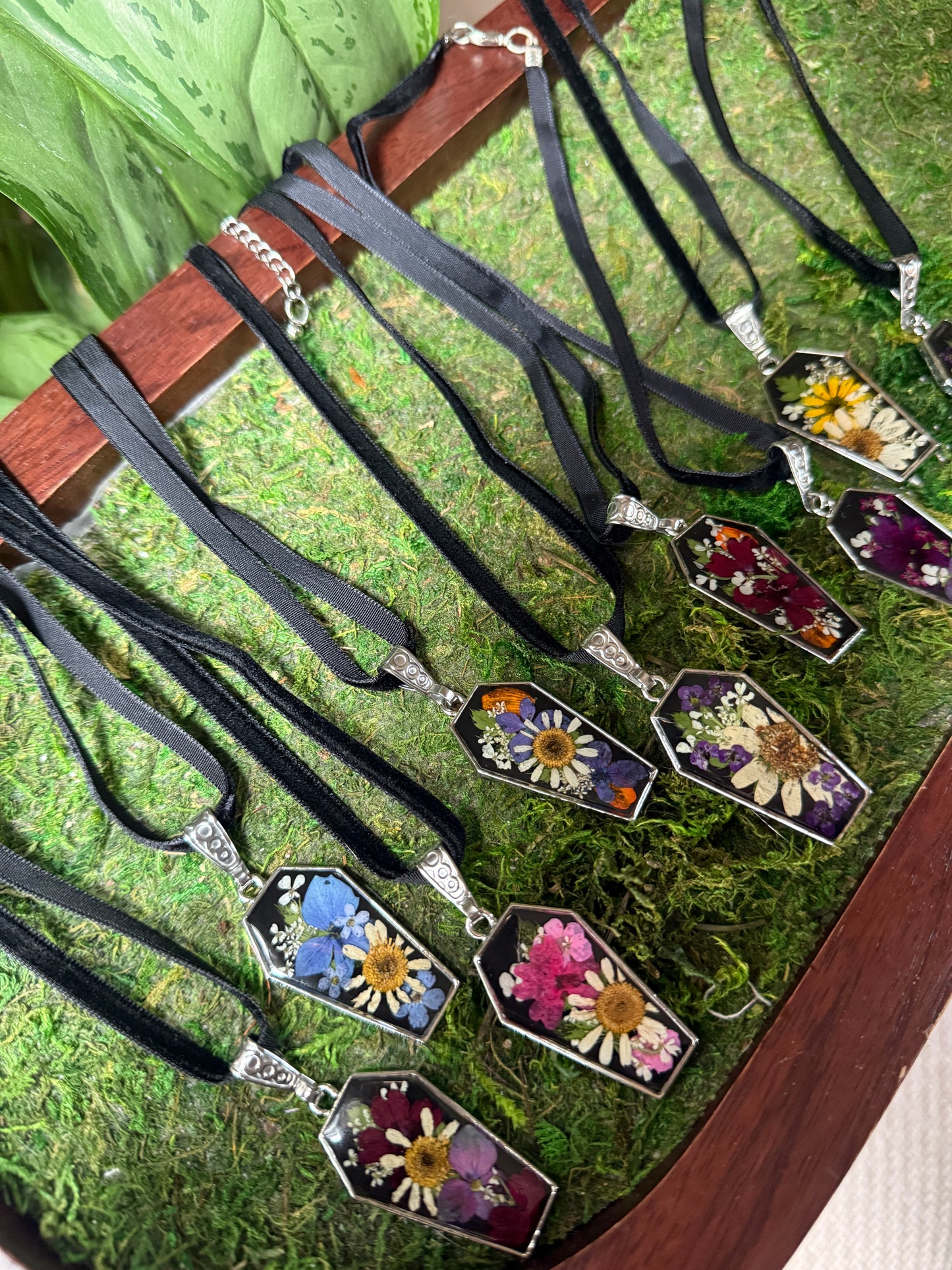 Coffin choker necklace reveal
