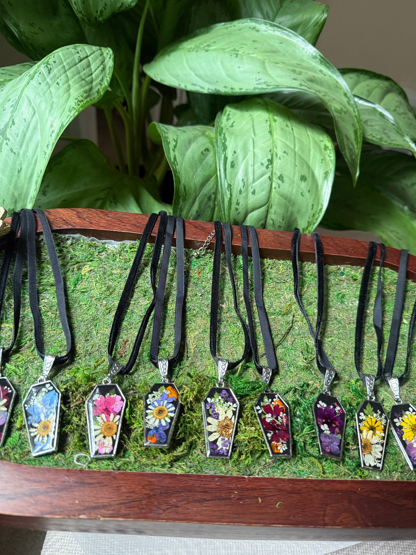 Coffin choker necklace reveal