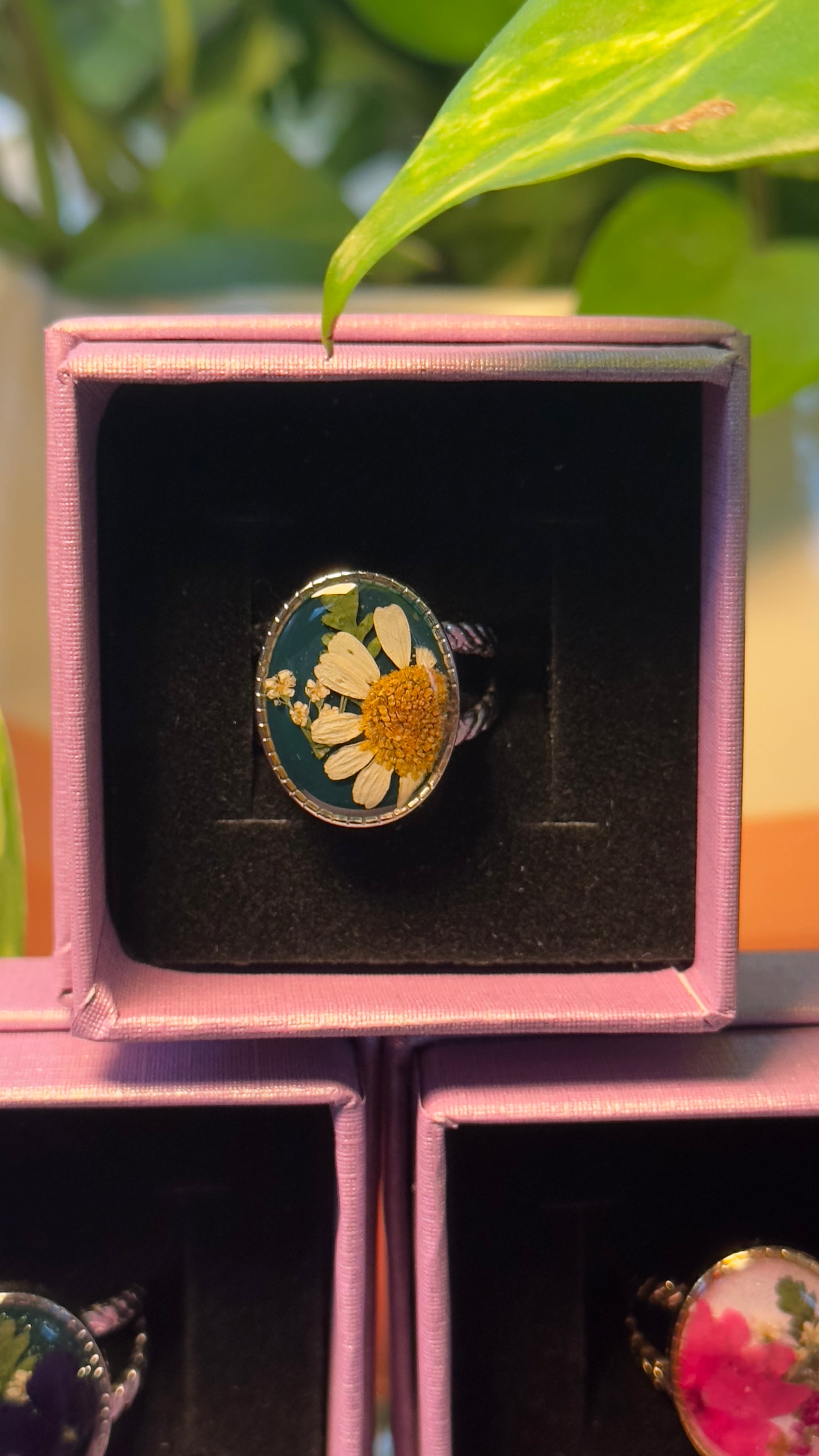 Wicked inspired ring reveal